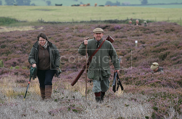 melmerby website-091