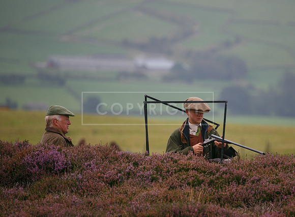 melmerby website-099