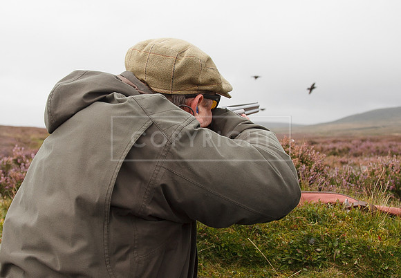 melmerby website-105