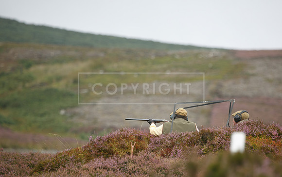 melmerby website-113