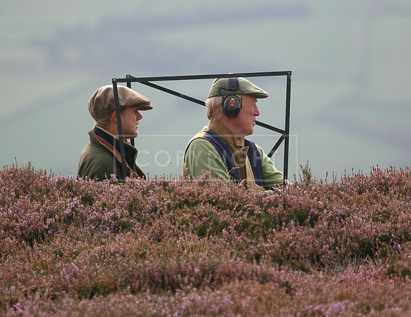 melmerby website-116
