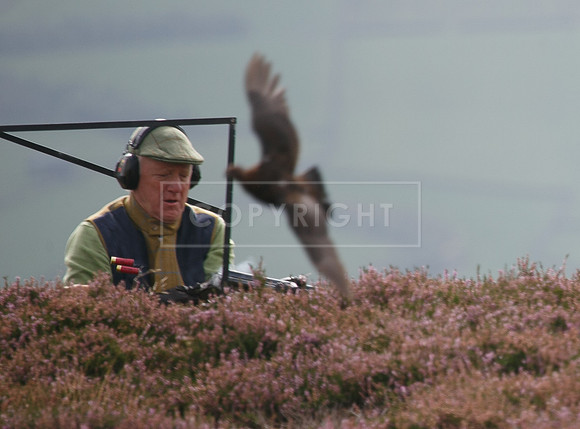melmerby website-123