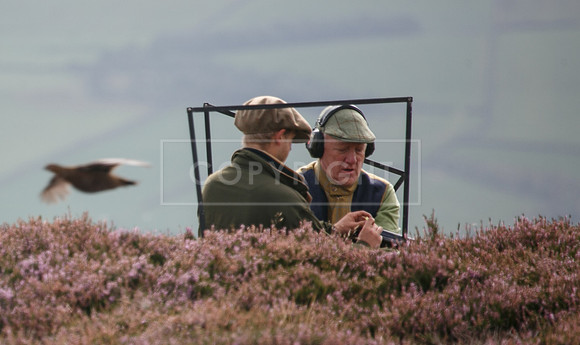 melmerby website-124