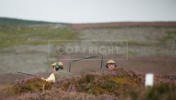 melmerby website-129