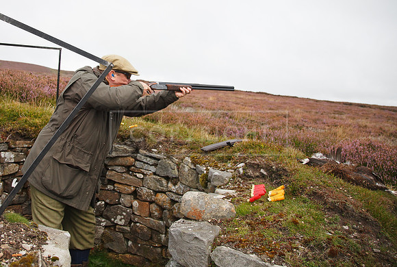 melmerby website-128