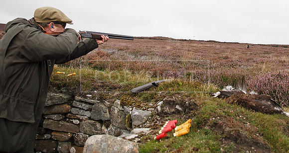 melmerby website-130