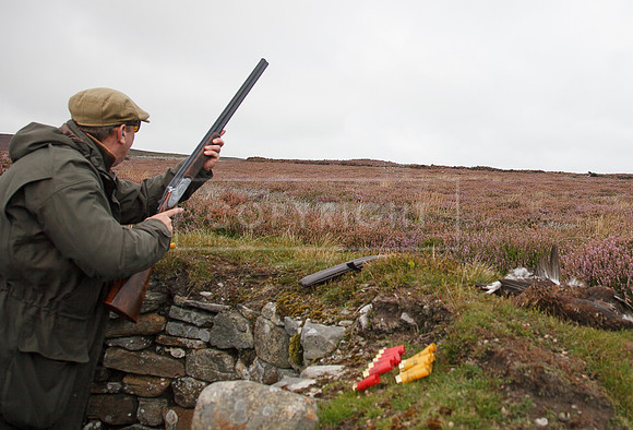 melmerby website-131