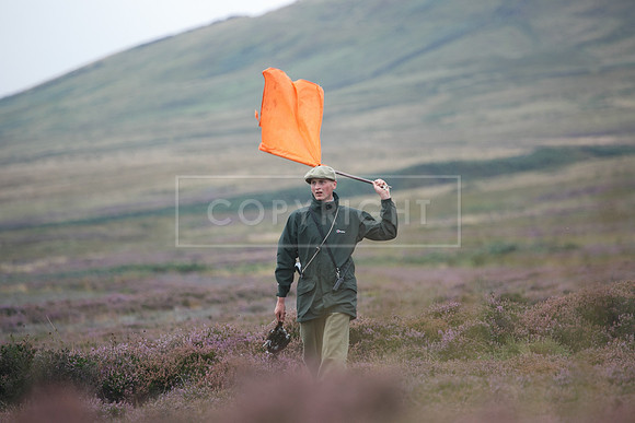 melmerby website-133