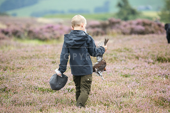 melmerby website-142
