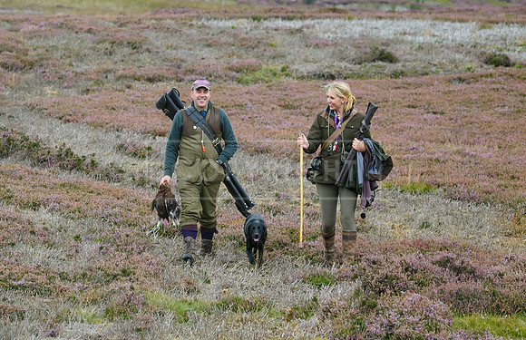 melmerby website-147
