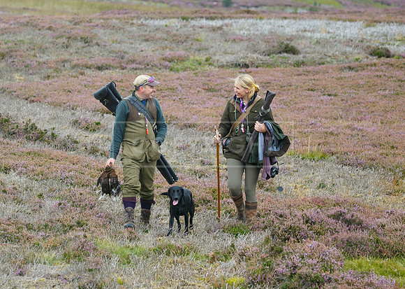 melmerby website-148
