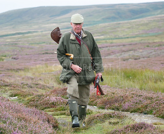 melmerby website-149