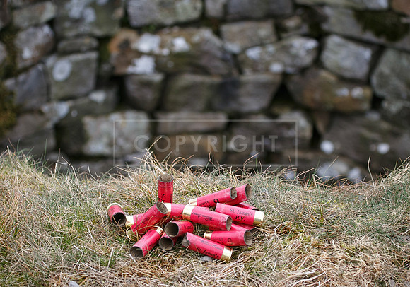melmerby website-150