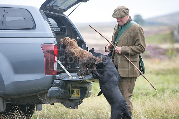 melmerby website-152