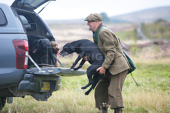 melmerby website-153