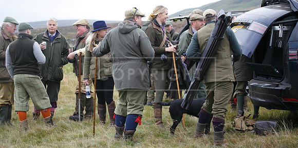 melmerby website-156