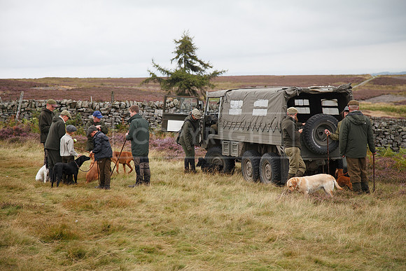 melmerby website-158