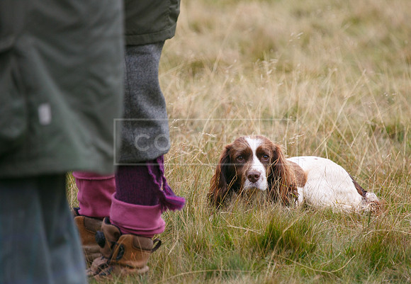melmerby website-165
