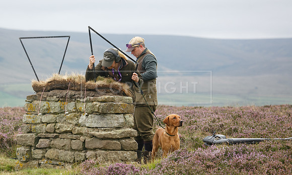 melmerby website-176