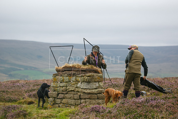 melmerby website-175