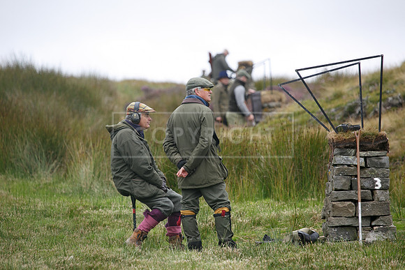 melmerby website-177