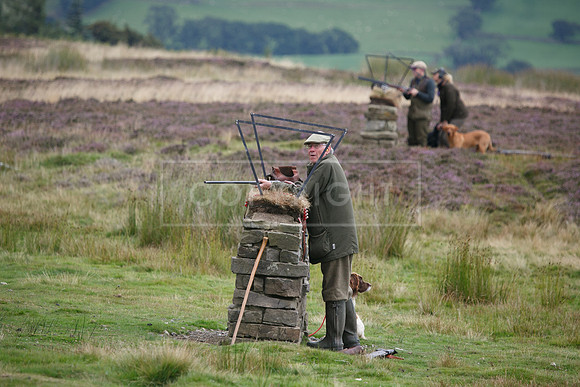 melmerby website-180