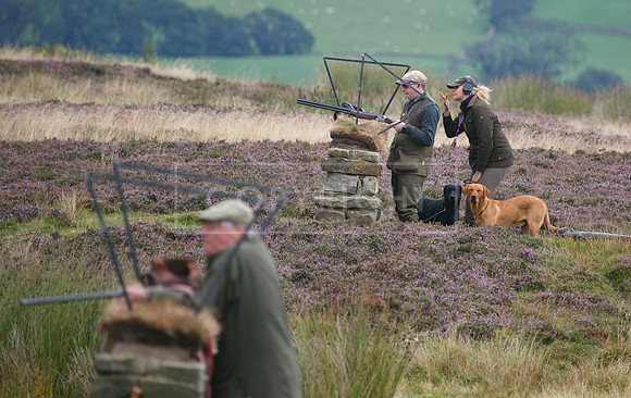 melmerby website-181