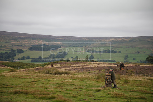 melmerby website-184
