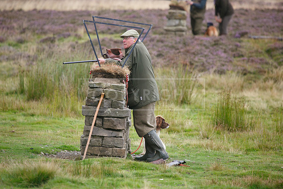 melmerby website-182