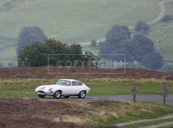 melmerby website-187