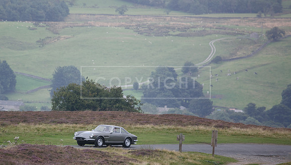 melmerby website-188