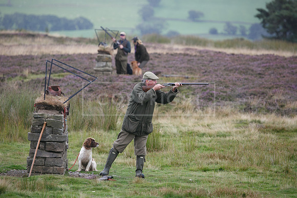 melmerby website-190