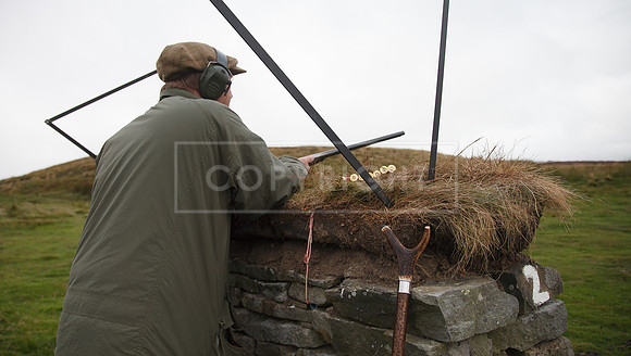 melmerby website-194