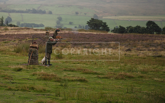 melmerby website-192
