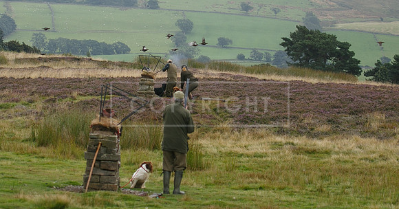 melmerby website-196