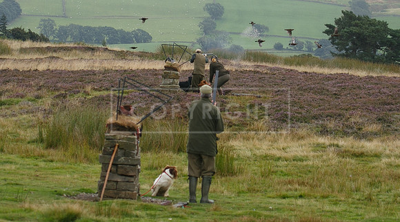 melmerby website-197