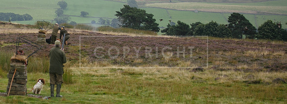 melmerby website-200