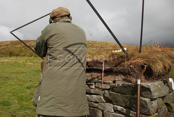 melmerby website-201