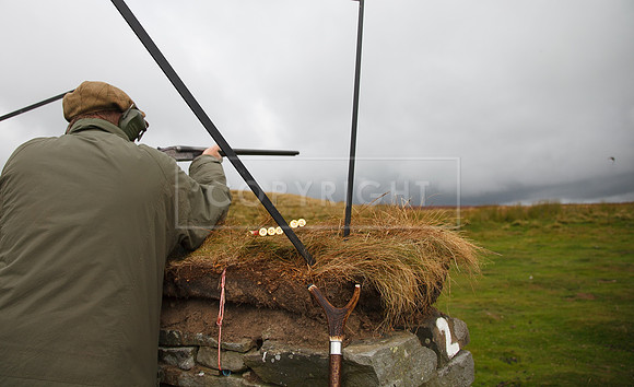 melmerby website-206