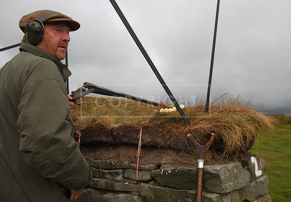 melmerby website-207