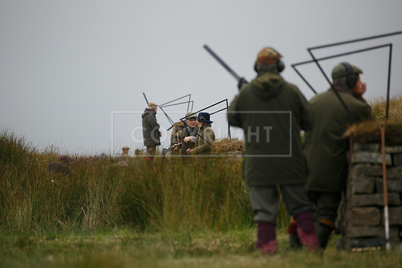 melmerby website-213