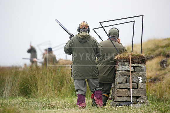 melmerby website-214