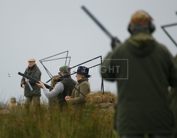 melmerby website-216