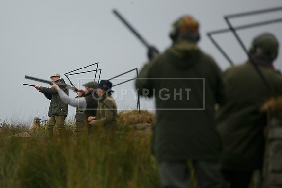 melmerby website-215