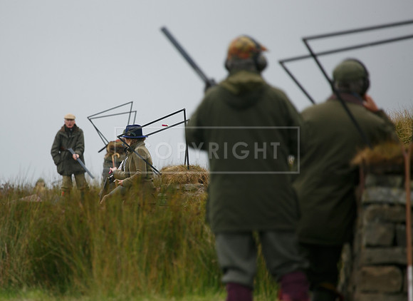 melmerby website-217