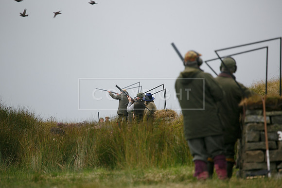 melmerby website-218