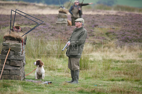 melmerby website-220