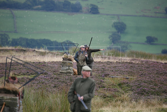 melmerby website-221