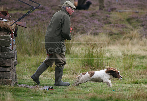 melmerby website-224
