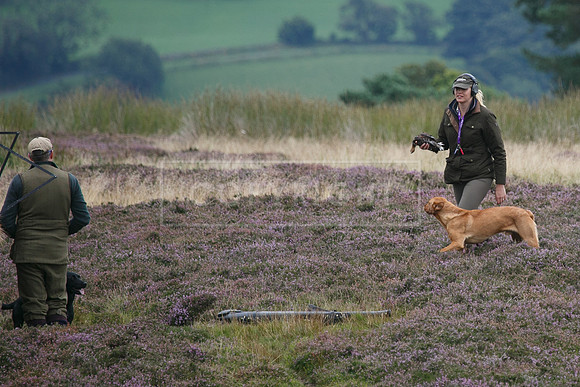 melmerby website-228